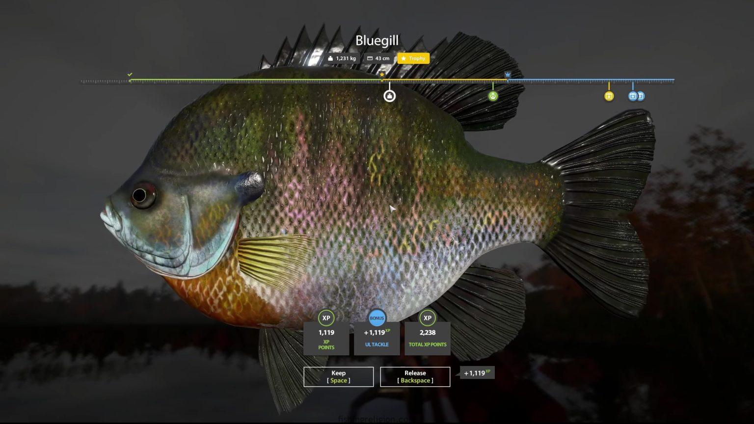 Russian Fishing 4 Trophy Fish Log – Catches & Setups